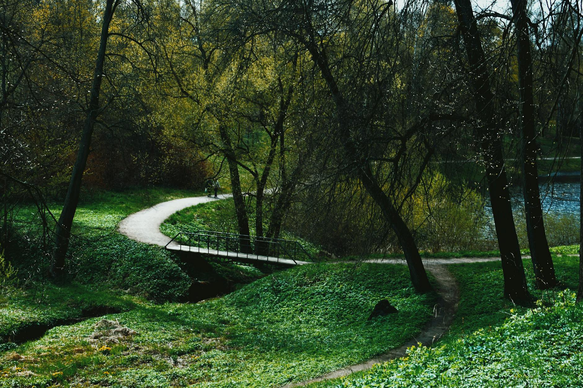 Mieszkańcy Łodzi podczas wydarzeń prozdrowotnych i związanych z naturą