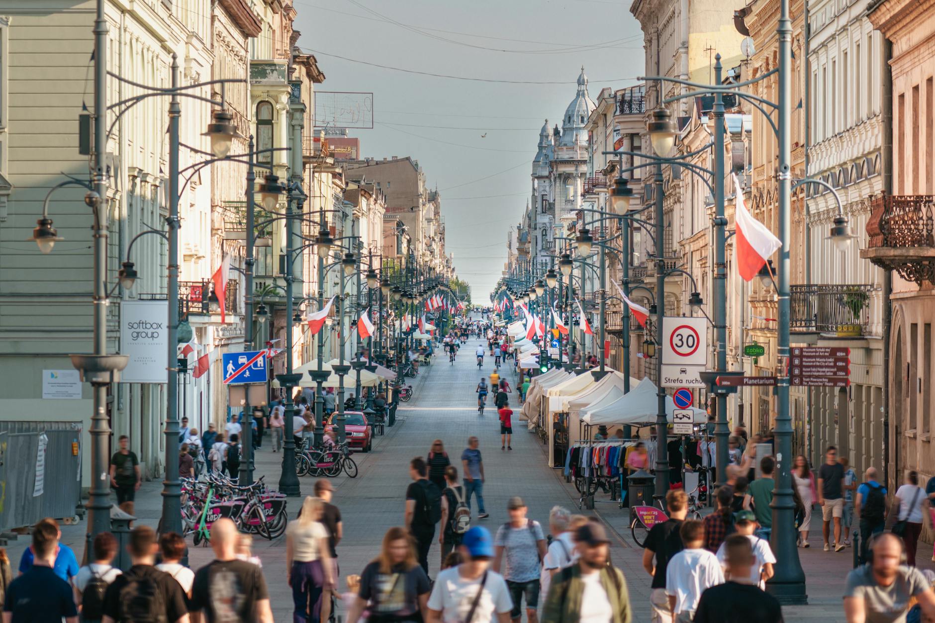 Pies Łaciaty ze schroniska w Łodzi i widok na ulicę Piotrkowską z motocyklistami
