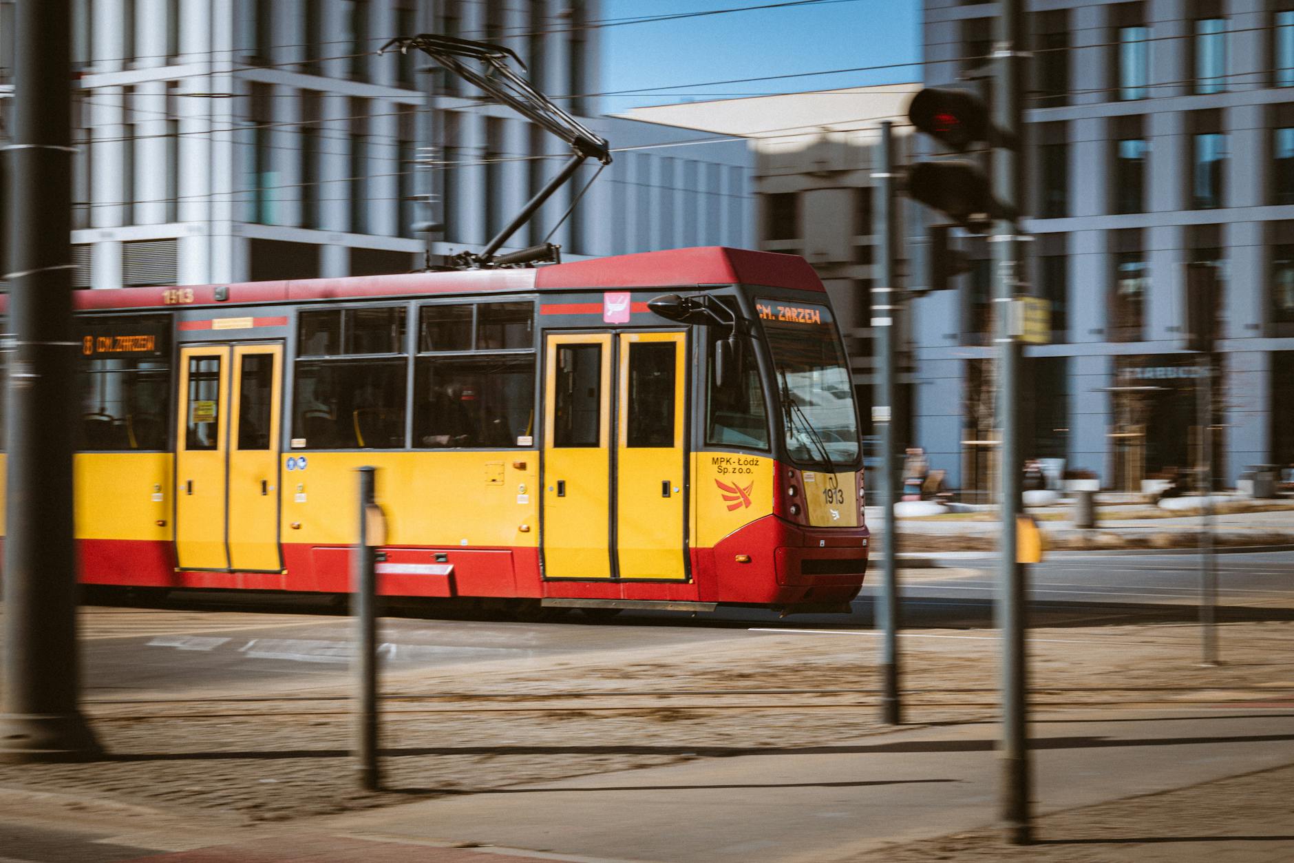 Łódź: wizualizacja rewitalizacji kamienicy, zdjęcie żółwia matamata, pracownicy MPK Łódź