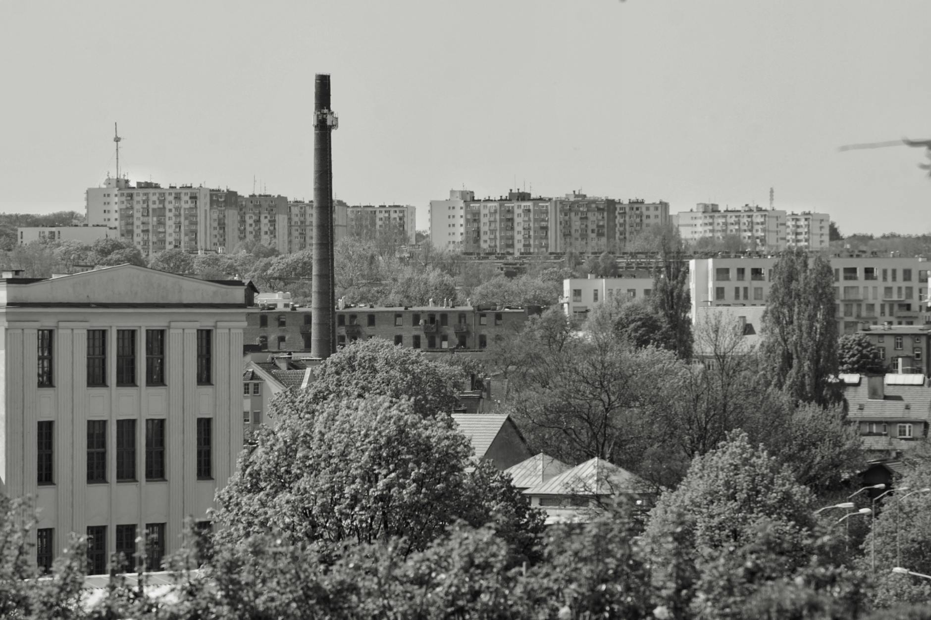 Grafika symbolizująca zieloną energię i inwestycje, ilustrująca dotacje w Łódzkiem na zieloną energię.