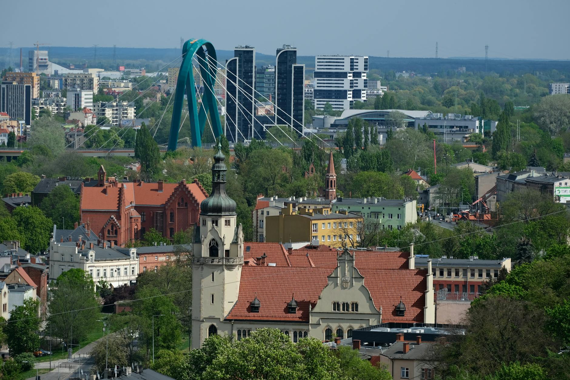 Ilustracja przedstawiająca parę podczas sesji ślubnej na tle łódzkiej architektury oraz symbol karetki z dzikim zwierzęciem